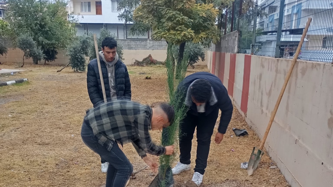 OKULUMUZDA ÇAM FİDANI DİKİMİ YAPILDI.